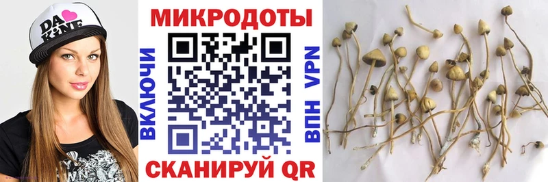 Галлюциногенные грибы Cubensis  Сланцы 